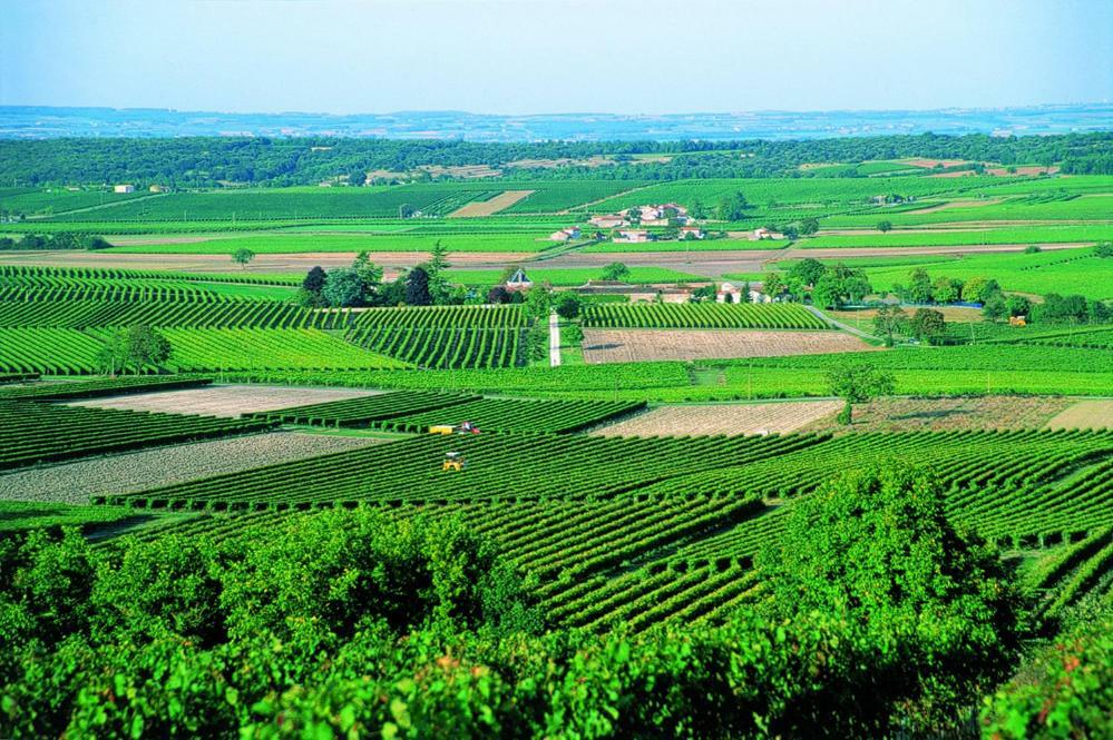 Le Savoir Vivre Bonnes (Charente) Exterior photo