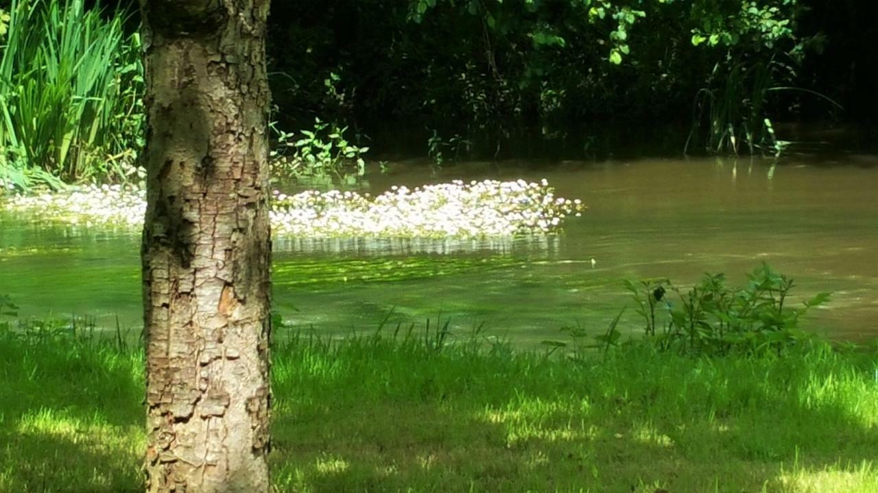 Le Savoir Vivre Bonnes (Charente) Exterior photo